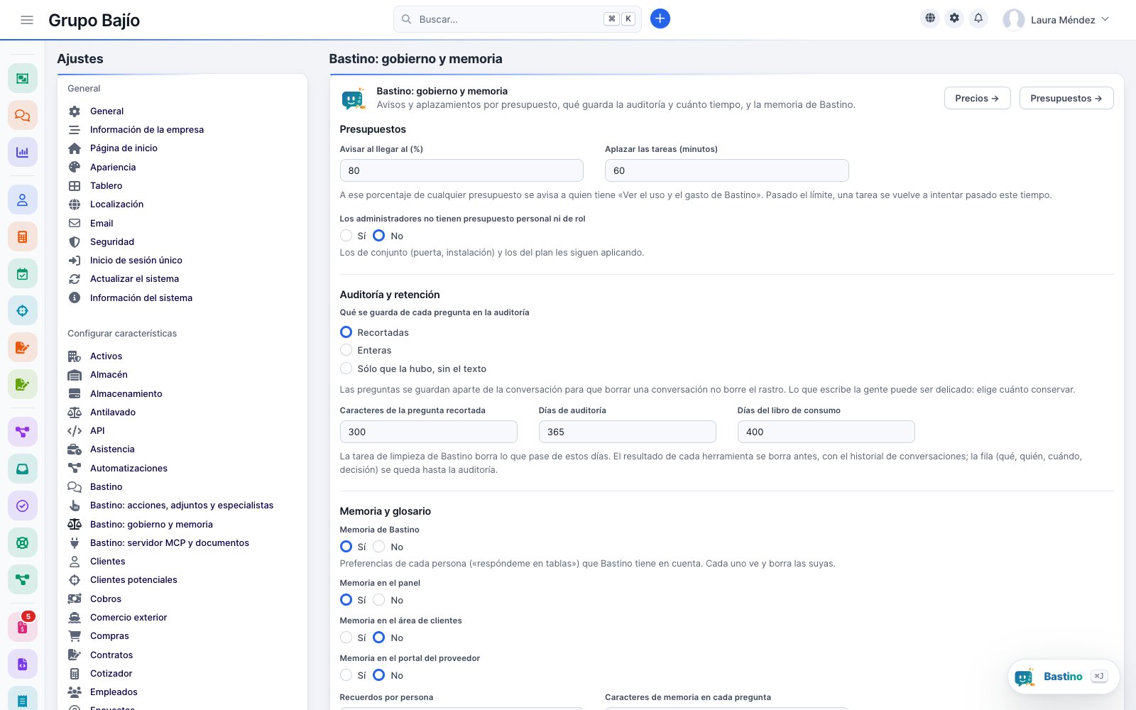 Bastino governance and memory settings: budgets, audit and retention, memory and glossary