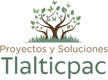 Proyectos y Soluciones Tlalticpac